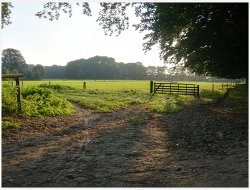 uitgelijnde set fotos