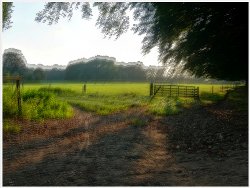 Niet uitgelijnde set fotos